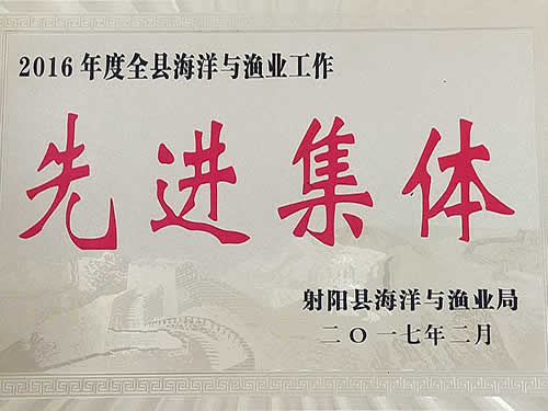 2016年度先進(jìn)集體