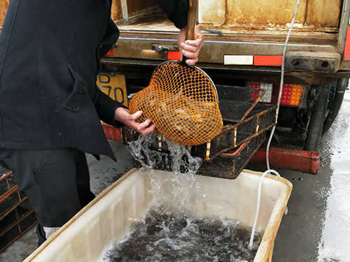 捕蝦現(xiàn)場(chǎng)10