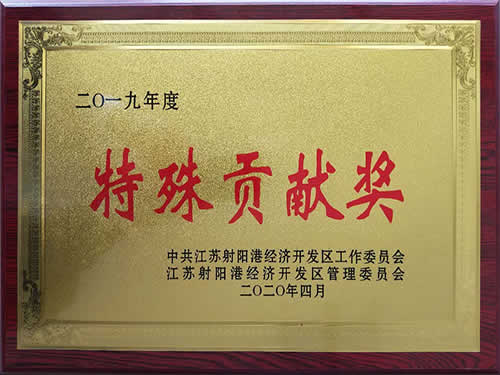 2019年度特殊貢獻(xiàn)獎(jiǎng)