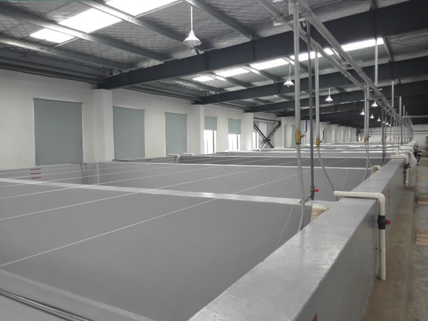 蝦苗養(yǎng)殖池