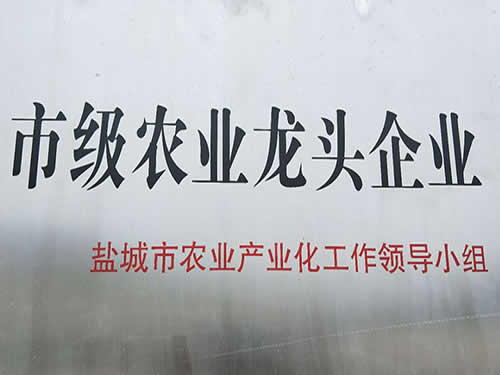 市級(jí)農(nóng)業(yè)龍頭企業(yè)